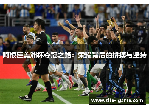 阿根廷美洲杯夺冠之路：荣耀背后的拼搏与坚持