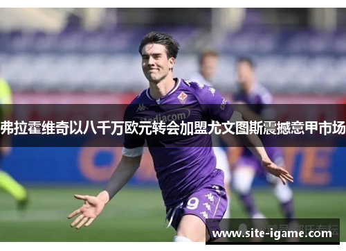 弗拉霍维奇以八千万欧元转会加盟尤文图斯震撼意甲市场