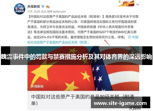 魏震事件中的罚款与禁赛措施分析及其对体育界的深远影响